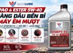 Nhớt tổng hợp PAO & Ester cho xe số, xe côn tay MAXLUBE HARPY 4T 5W-40