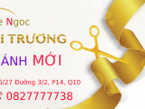 Liên Hệ Trực Tiếp Để Phỏng Vấn